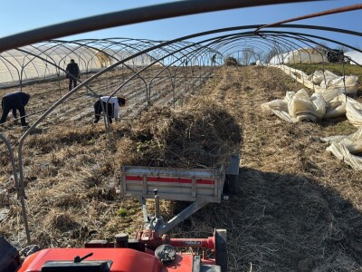 OPG Novosel Gornja Stubica