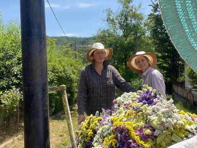 OPG Novosel Gornja Stubica