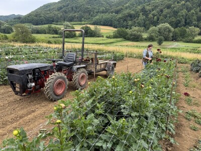 OPG Novosel Gornja Stubica