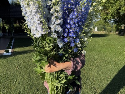 OPG Novosel Gornja Stubica