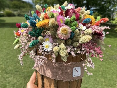 OPG Novosel Gornja Stubica