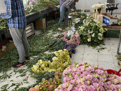 OPG Novosel Gornja Stubica