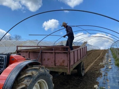 OPG Novosel: naša su motivacija zadovoljni klijenti i oduševljenje kada preuzmu cvijeće