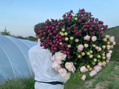 OPG Novosel: naša su motivacija zadovoljni klijenti i oduševljenje kada preuzmu cvijeće