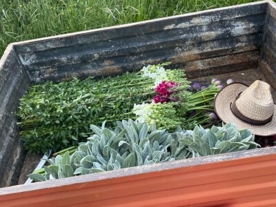 OPG Novosel: naša su motivacija zadovoljni klijenti i oduševljenje kada preuzmu cvijeće