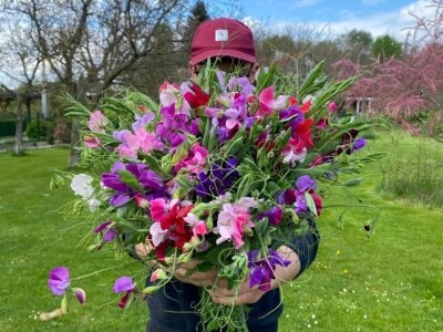 OPG Novosel: naša su motivacija zadovoljni klijenti i oduševljenje kada preuzmu cvijeće