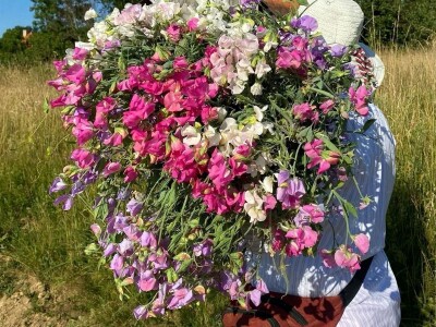 OPG Novosel: naša su motivacija zadovoljni klijenti i oduševljenje kada preuzmu cvijeće