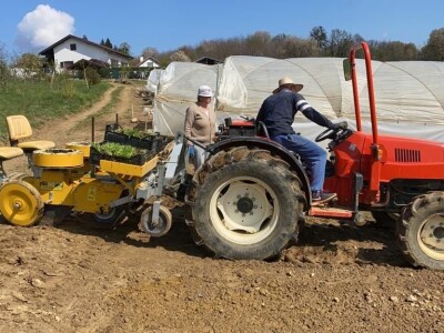 OPG Novosel: naša su motivacija zadovoljni klijenti i oduševljenje kada preuzmu cvijeće