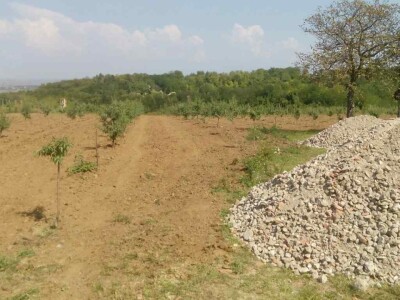 OPG Oliver Pavić OPG Oliver Pavić