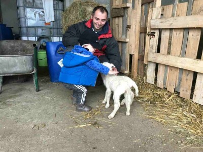 OPG Oliver Pavić OPG Oliver Pavić