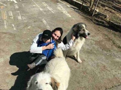 OPG Oliver Pavić OPG Oliver Pavić