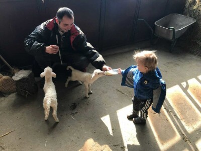 OPG Oliver Pavić OPG Oliver Pavić