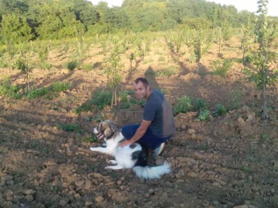 OPG Oliver Pavić OPG Oliver Pavić