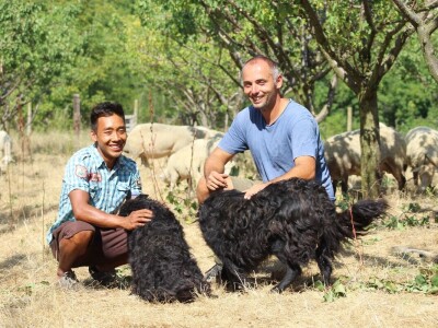 OPG Oliver Pavić, Branjin Vrh