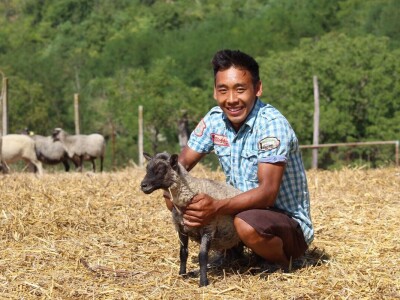 OPG Oliver Pavić, Branjin Vrh