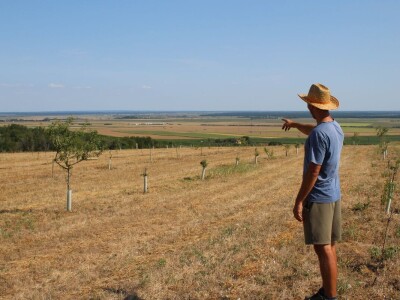 OPG Oliver Pavić, Branjin Vrh