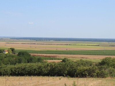 OPG Oliver Pavić, Branjin Vrh