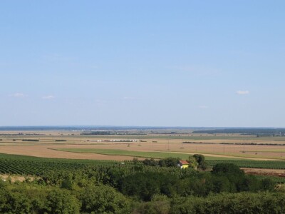 OPG Oliver Pavić, Branjin Vrh