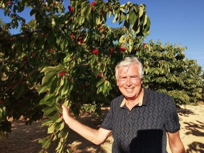 OPG OMER MERO SURAĆ - Suhozid i burobran mu spasili urod trešanja vrijedan 70.000 kuna! OPG OMER MERO SURAĆ - Suhozid i burobran mu spasili urod trešanja vrijedan 70.000 kuna!