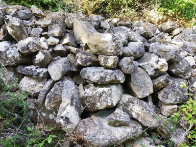 OPG OMER MERO SURAĆ - Suhozid i burobran mu spasili urod trešanja vrijedan 70.000 kuna! OPG OMER MERO SURAĆ - Suhozid i burobran mu spasili urod trešanja vrijedan 70.000 kuna!