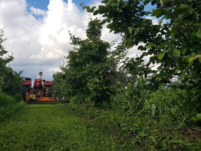 OPG Panić OPG Panić