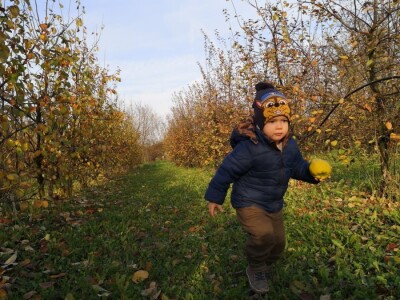 OPG Panić OPG Panić