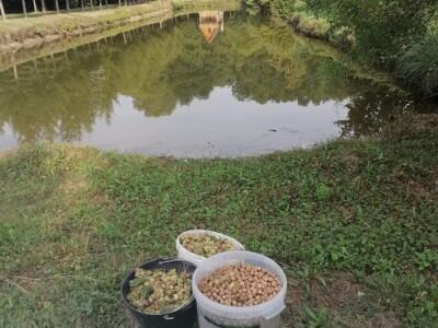 OPG Panić OPG Panić