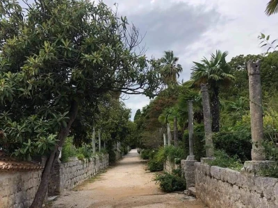 OPG Pašeta