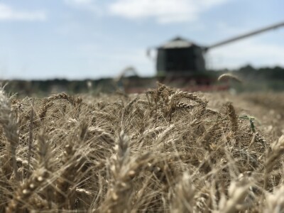 OPG Pavao Švub OPG Pavao Švub