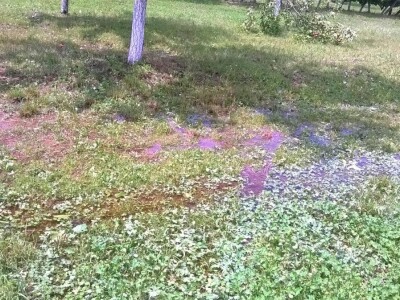 Posljedice elementarne nepogode na OPG Pavičić