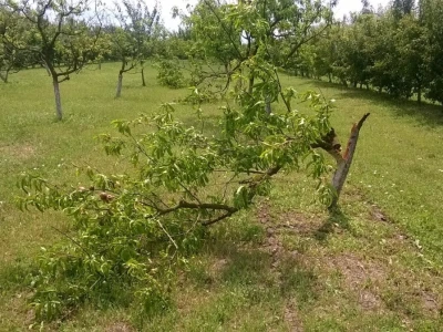 Posljedice elementarne nepogode na OPG Pavičić
