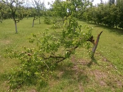 Posljedice elementarne nepogode na OPG Pavičić