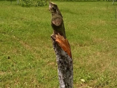 Posljedice elementarne nepogode na OPG Pavičić