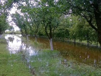 Posljedice elementarne nepogode na OPG Pavičić