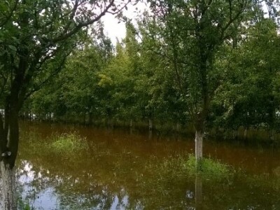 Posljedice elementarne nepogode na OPG Pavičić