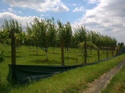 Posljedice elementarne nepogode na OPG Pavičić