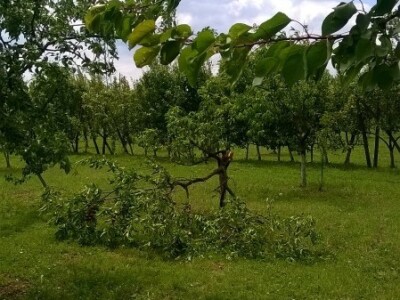 Posljedice elementarne nepogode na OPG Pavičić