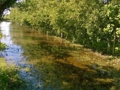 Posljedice elementarne nepogode na OPG Pavičić