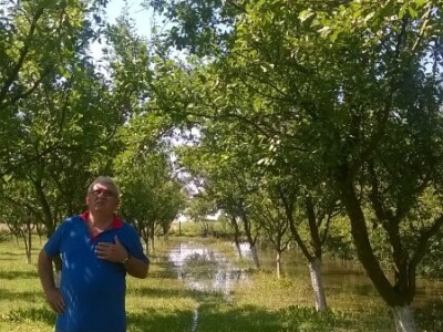 Posljedice elementarne nepogode na OPG Pavičić