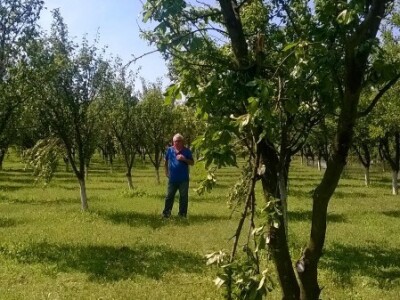 Posljedice elementarne nepogode na OPG Pavičić