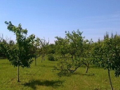 Posljedice elementarne nepogode na OPG Pavičić