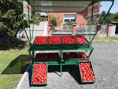 OPG PAVLOVIĆ