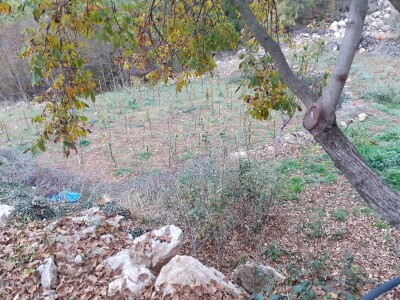 OPG pčelarstva i stočarstvo u Blaževićima OPG pčelarstva i stočarstvo u Blaževićima