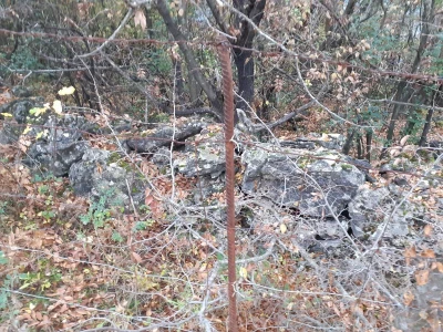 OPG pčelarstva i stočarstvo u Blaževićima