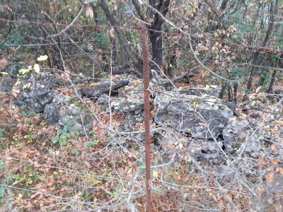 OPG pčelarstva i stočarstvo u Blaževićima OPG pčelarstva i stočarstvo u Blaževićima