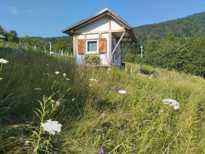 OPG Pčelarstvo Burić