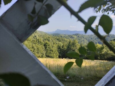 OPG Pčelarstvo Burić