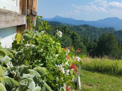 OPG Pčelarstvo Burić