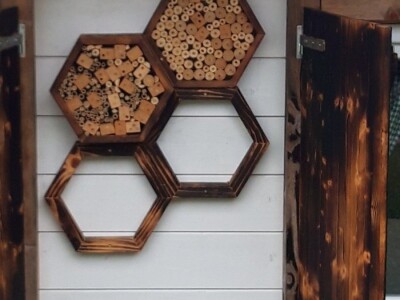 OPG Pčelarstvo Burić - API komora