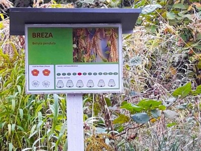 OPG Pčelarstvo Burić - API komora